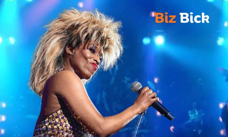 Tina Turner Stuttgart